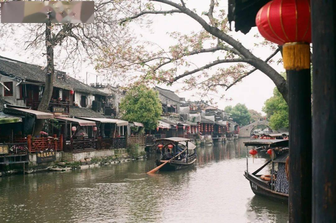 无忧国际wy6999
